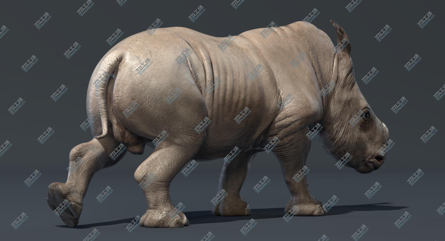 images/goods_img/202104091/3D Rhino Baby (Rigged)/3.jpg